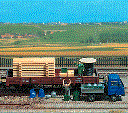 Freight Goods Assorted Kit